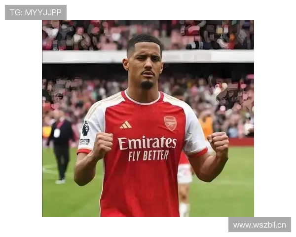 威廉·萨利巴对比鲁本·迪亚斯：体系型中卫风格差异