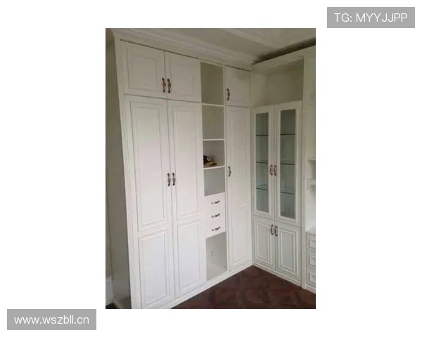 菲利克斯又发家居照，衣橱那排鞋把我看懵了，开门像进博物馆